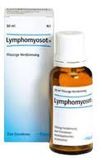Heel Lymphomyosot krople 30 ml